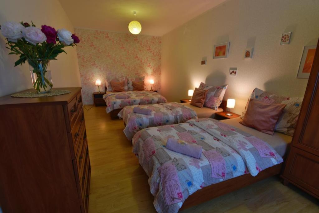 Apartmany Branickov Extérieur photo